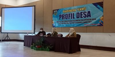 Bimtek Profil Desa Dan Desa Online