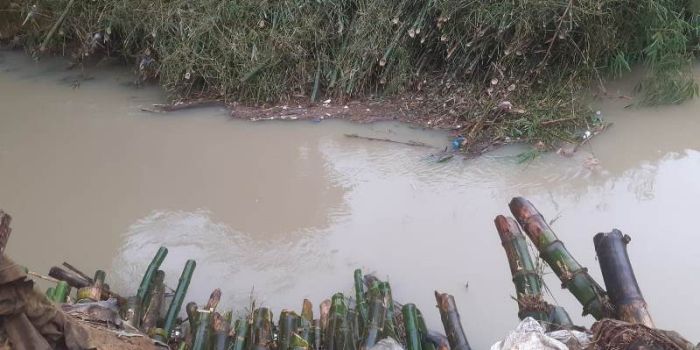 Pembersihan Erosi Rumpun Bambu di Sungai Gombong 02