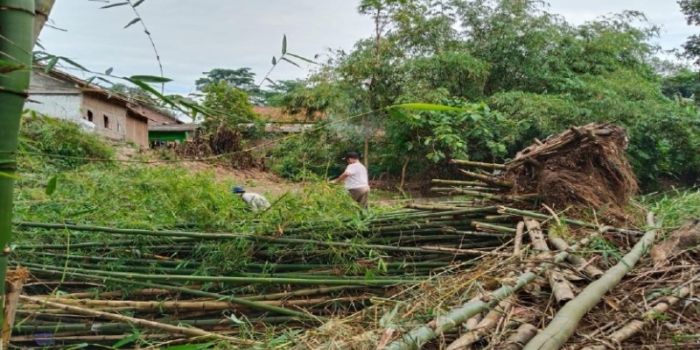 Pembersihan Erosi Rumpun Bambu di Sungai Gombong